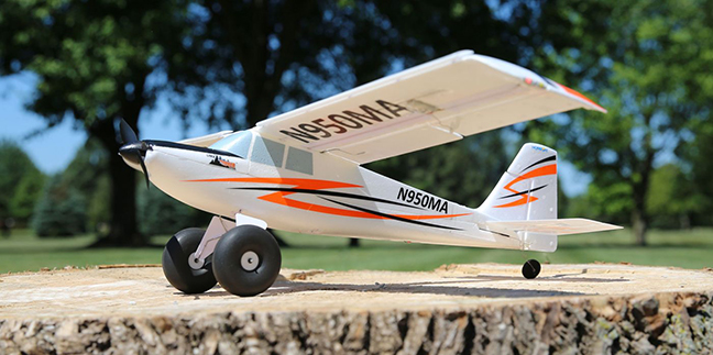 umx timber bnf basic